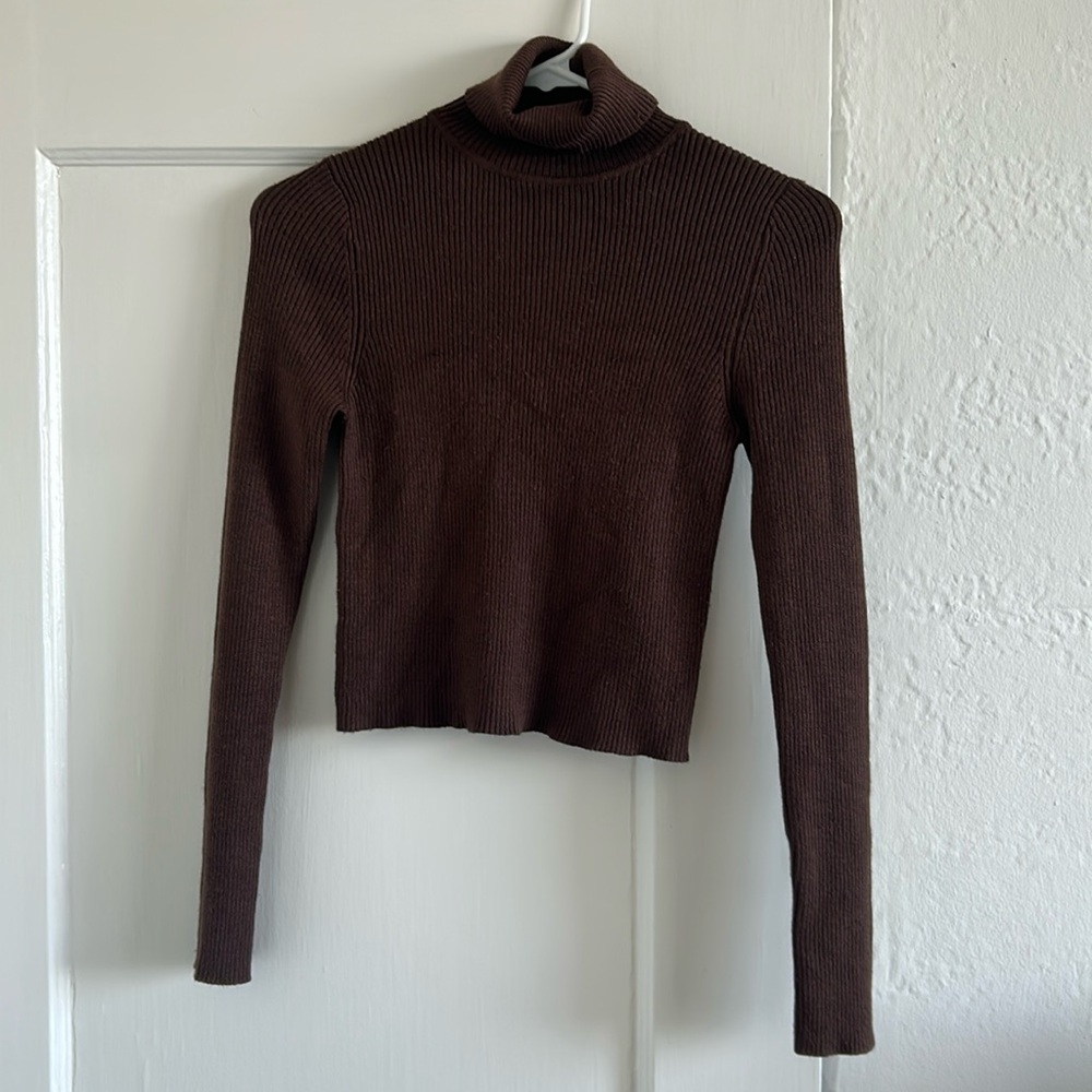 Brown Turtleneck
